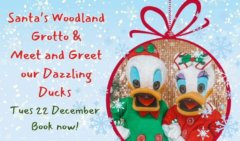 Meet and Greet Dazzling Ducks article image